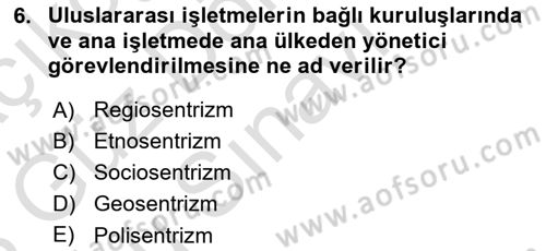 Uluslararası İşletmecilik Dersi 2022 - 2023 Yılı (Final) Dönem Sonu Sınav Soruları 6. Soru
