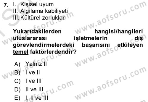 Uluslararası İşletmecilik Dersi 2022 - 2023 Yılı (Final) Dönem Sonu Sınav Soruları 7. Soru