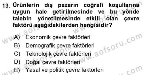 Uluslararası İşletmecilik Dersi 2022 - 2023 Yılı Yaz Okulu Sınavı 13. Soru