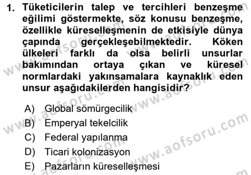 Uluslararası İşletmecilik Dersi 2024 - 2025 Yılı (Vize) Ara Sınavı 1. Soru