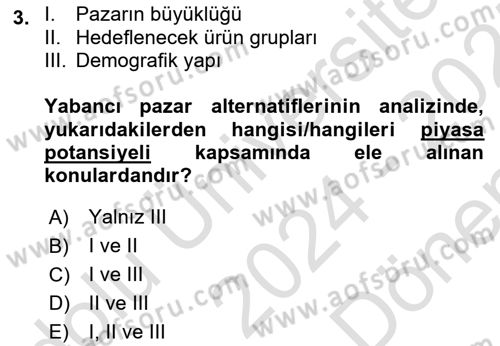 Uluslararası İşletmecilik Dersi 2024 - 2025 Yılı (Final) Dönem Sonu Sınavı 3. Soru