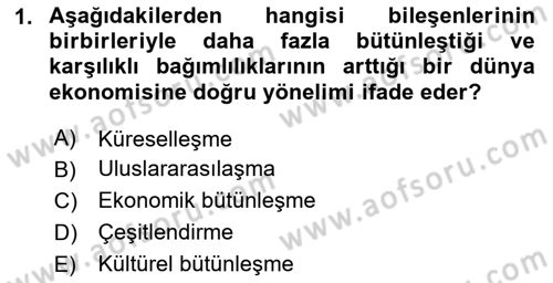 Uluslararası İşletmecilik Dersi 2024 - 2025 Yılı Yaz Okulu Sınav Soruları 1. Soru