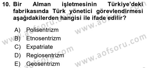 Uluslararası İşletmecilik Dersi 2024 - 2025 Yılı Yaz Okulu Sınav Soruları 10. Soru