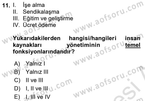Uluslararası İşletmecilik Dersi 2024 - 2025 Yılı Yaz Okulu Sınav Soruları 11. Soru