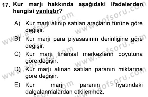 Uluslararası İşletmecilik Dersi 2024 - 2025 Yılı Yaz Okulu Sınav Soruları 17. Soru