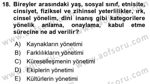 Uluslararası İşletmecilik Dersi 2024 - 2025 Yılı Yaz Okulu Sınav Soruları 18. Soru