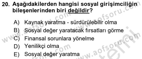Uluslararası İşletmecilik Dersi 2024 - 2025 Yılı Yaz Okulu Sınav Soruları 20. Soru