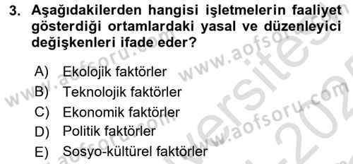 Uluslararası İşletmecilik Dersi 2024 - 2025 Yılı Yaz Okulu Sınav Soruları 3. Soru