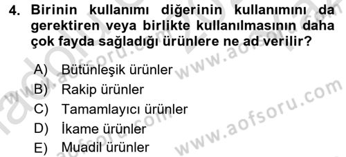 Uluslararası İşletmecilik Dersi 2024 - 2025 Yılı Yaz Okulu Sınav Soruları 4. Soru