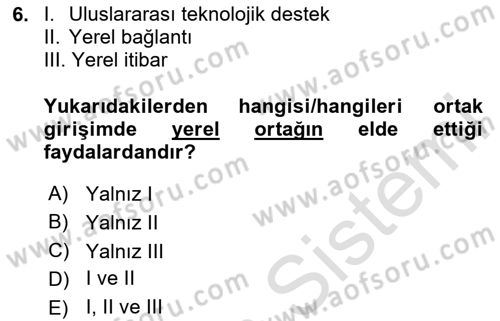 Uluslararası İşletmecilik Dersi 2024 - 2025 Yılı Yaz Okulu Sınav Soruları 6. Soru