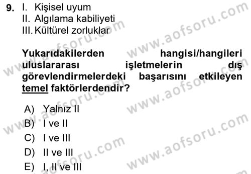 Uluslararası İşletmecilik Dersi 2024 - 2025 Yılı Yaz Okulu Sınav Soruları 9. Soru