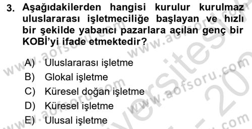 Uluslararası İşletmecilik Dersi 2025 - 2026 Yılı (Vize) Ara Sınav Soruları 3. Soru