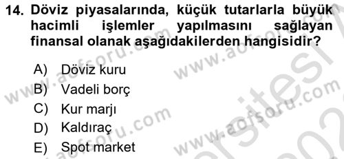 Uluslararası İşletmecilik Dersi 2025 - 2026 Yılı (Final) Dönem Sonu Sınav Soruları 14. Soru