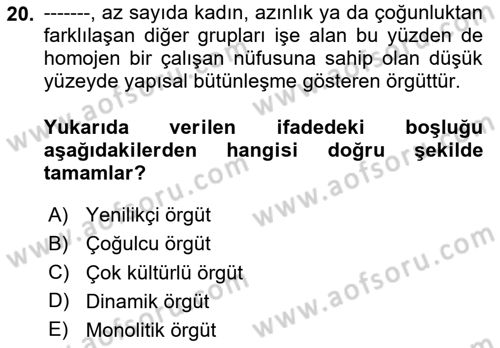 Uluslararası İşletmecilik Dersi 2025 - 2026 Yılı (Final) Dönem Sonu Sınav Soruları 20. Soru