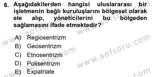 Uluslararası İşletmecilik Dersi 2025 - 2026 Yılı (Final) Dönem Sonu Sınav Soruları 6. Soru
