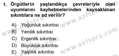 Örgüt Kuramı Dersi 2018 - 2019 Yılı Yaz Okulu Sınav Soruları 1. Soru