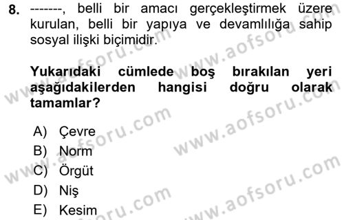 Örgüt Kuramı Dersi 2018 - 2019 Yılı Yaz Okulu Sınavı 8. Soru