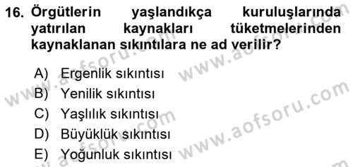 Örgüt Kuramı Dersi 2021 - 2022 Yılı (Vize) Ara Sınavı 16. Soru