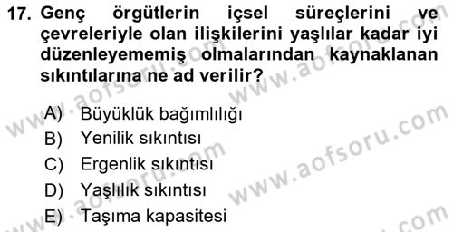 Örgüt Kuramı Dersi 2023 - 2024 Yılı (Vize) Ara Sınavı 17. Soru
