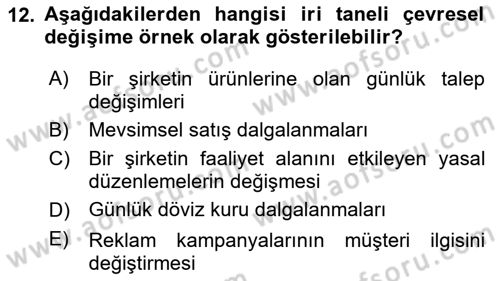 Örgüt Kuramı Dersi 2024 - 2025 Yılı (Vize) Ara Sınav Soruları 12. Soru