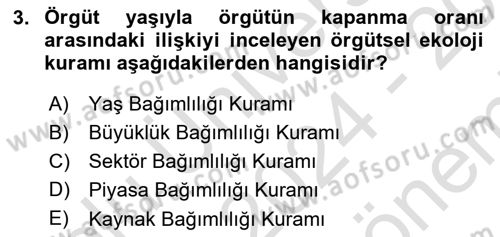 Örgüt Kuramı Dersi 2024 - 2025 Yılı (Final) Dönem Sonu Sınav Soruları 3. Soru