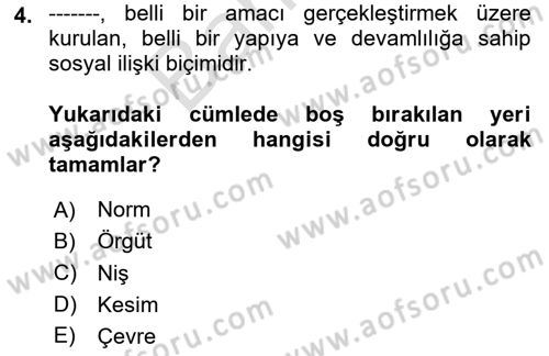 Örgüt Kuramı Dersi 2024 - 2025 Yılı (Final) Dönem Sonu Sınav Soruları 4. Soru