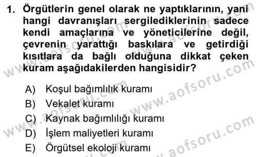 Örgüt Kuramı Dersi 2024 - 2025 Yılı Yaz Okulu Sınav Soruları 1. Soru