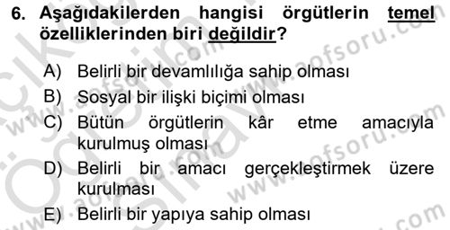 Örgüt Kuramı Dersi 2024 - 2025 Yılı Yaz Okulu Sınav Soruları 6. Soru