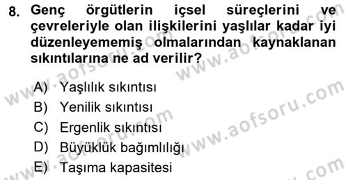 Örgüt Kuramı Dersi 2024 - 2025 Yılı Yaz Okulu Sınav Soruları 8. Soru