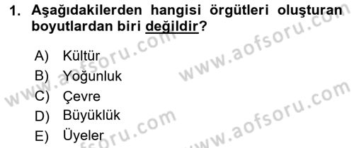 Örgüt Kuramı Dersi 2025 - 2026 Yılı (Vize) Ara Sınav Soruları 1. Soru