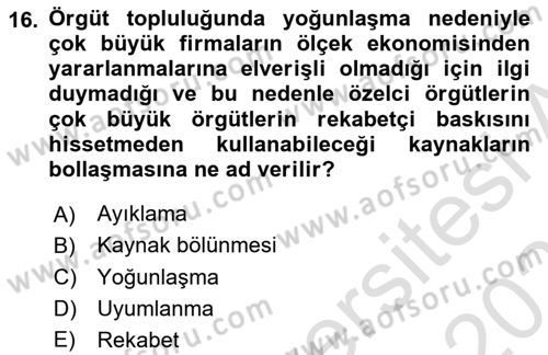 Örgüt Kuramı Dersi 2025 - 2026 Yılı (Vize) Ara Sınav Soruları 16. Soru