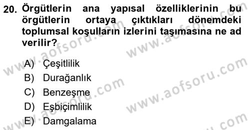 Örgüt Kuramı Dersi 2025 - 2026 Yılı (Vize) Ara Sınav Soruları 20. Soru