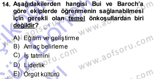 Yönetimde Güncel Yaklaşımlar Dersi 2013 - 2014 Yılı (Vize) Ara Sınav Soruları 14. Soru