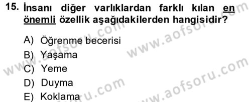 Yönetimde Güncel Yaklaşımlar Dersi 2014 - 2015 Yılı (Vize) Ara Sınav Soruları 15. Soru