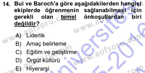 Yönetimde Güncel Yaklaşımlar Dersi 2015 - 2016 Yılı (Vize) Ara Sınav Soruları 14. Soru