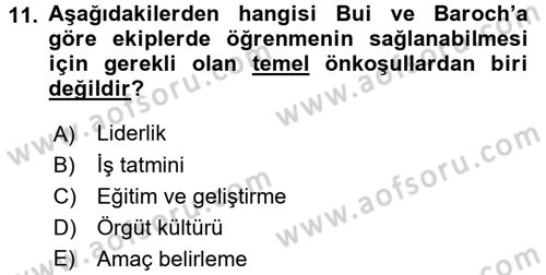 Yönetimde Güncel Yaklaşımlar Dersi 2016 - 2017 Yılı (Vize) Ara Sınav Soruları 11. Soru