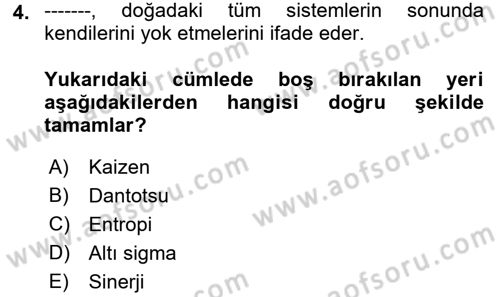 Yönetimde Güncel Yaklaşımlar Dersi 2018 - 2019 Yılı (Vize) Ara Sınav Soruları 4. Soru
