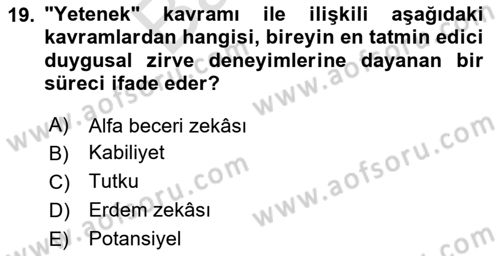 Yönetimde Güncel Yaklaşımlar Dersi 2023 - 2024 Yılı (Final) Dönem Sonu Sınav Soruları 19. Soru