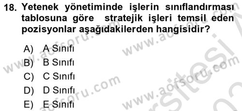 Yönetimde Güncel Yaklaşımlar Dersi 2024 - 2025 Yılı (Final) Dönem Sonu Sınav Soruları 18. Soru
