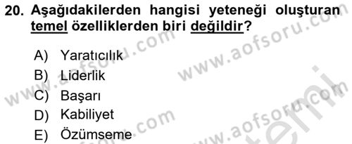 Yönetimde Güncel Yaklaşımlar Dersi 2024 - 2025 Yılı (Final) Dönem Sonu Sınav Soruları 20. Soru