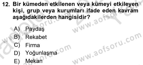 Yönetimde Güncel Yaklaşımlar Dersi 2024 - 2025 Yılı Yaz Okulu Sınav Soruları 12. Soru