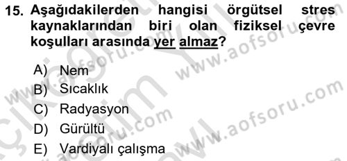 Yönetimde Güncel Yaklaşımlar Dersi 2024 - 2025 Yılı Yaz Okulu Sınav Soruları 15. Soru