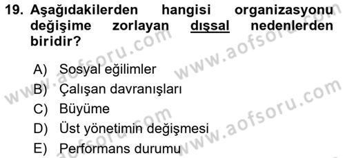 Yönetimde Güncel Yaklaşımlar Dersi 2025 - 2026 Yılı (Vize) Ara Sınav Soruları 19. Soru
