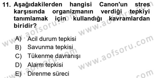 Yönetimde Güncel Yaklaşımlar Dersi 2025 - 2026 Yılı (Final) Dönem Sonu Sınav Soruları 11. Soru