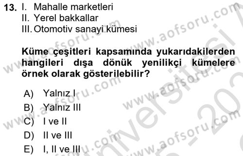 Yönetimde Güncel Yaklaşımlar Dersi 2025 - 2026 Yılı Yaz Okulu Sınav Soruları 13. Soru