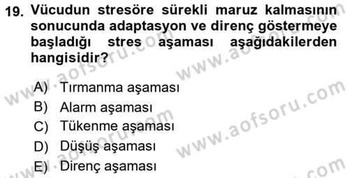 Yönetimde Güncel Yaklaşımlar Dersi 2025 - 2026 Yılı Yaz Okulu Sınav Soruları 19. Soru
