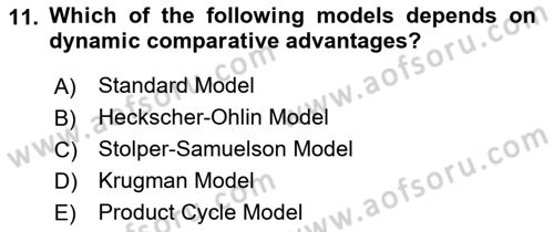 Foreign Trade Dersi Ara Sınavı Deneme Sınav Soruları 11. Soru
