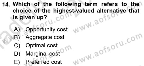 Foreign Trade Dersi Ara Sınavı Deneme Sınav Soruları 14. Soru