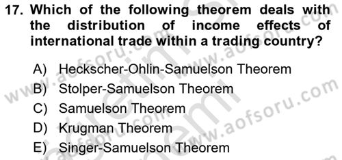 Foreign Trade Dersi Ara Sınavı Deneme Sınav Soruları 17. Soru