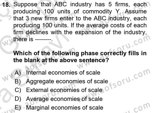 Foreign Trade Dersi Ara Sınavı Deneme Sınav Soruları 18. Soru